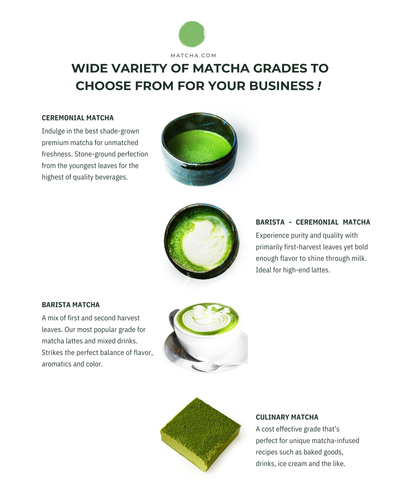 ORGANIC CULINARY MATCHA