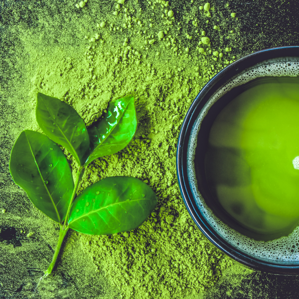 Mass Matcha Bulk Matcha - Japan Wholesale and Custom Organic Matcha